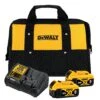 DeWalt DCB205-2CK 20V MAX 5.0Ah Starter Kit -Power Pro Shop DCB205 2CK K1