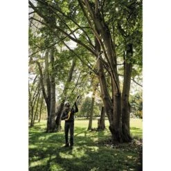 DeWalt DCPS620B 20V MAX XR Cordless Pole Saw (Tool Only) -Power Pro Shop image 8a0f1e76 074e 48c0 92de bc88e911fb1b